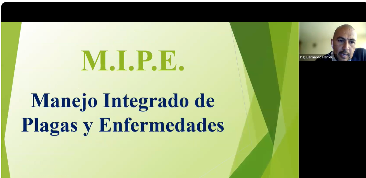 Introducción al manejo integrado de plagas y enfermedades MIPE 